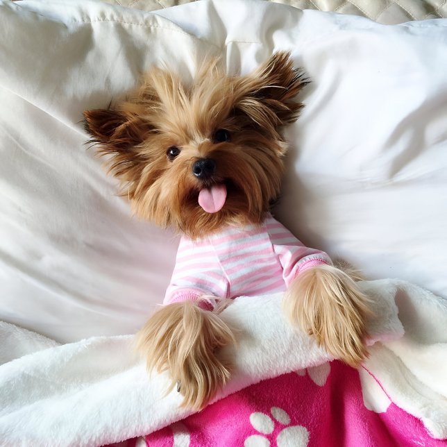 Couverture Polaire Blanche Empreinte de patte rose Idéal pour les chi (Pink personalized dog blanket for puppy dog lovers)