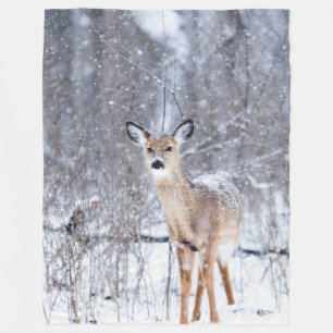 Couverture Polaire Blanchisserie de la flotte de cerfs en hiver