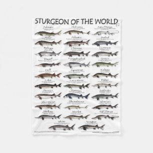 COUVERTURE POLAIRE BLANKET -STURGEON DU MONDE POSTER -PREMIER JAMAIS