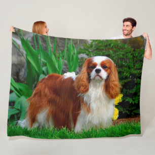Couverture Polaire Blenheim Cavalier le roi Charles Spaniel