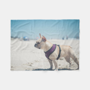 Couverture Polaire Bouledogue français sur la plage