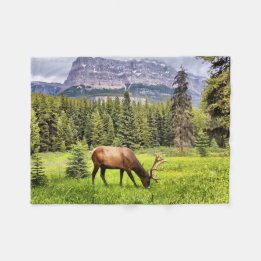 Couverture Polaire Bull Elk and Castle Mountain à Banff