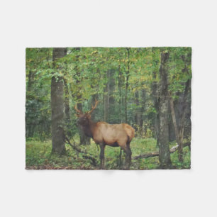 Couverture Polaire Bull Male Elk à autumn field