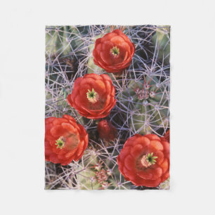 Couverture Polaire Californie, Parc national de Joshua Tree, Claret