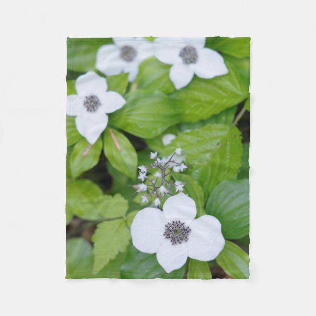 Couverture Polaire Canada, Colombie-Britannique. Dogwood nain (Devant)