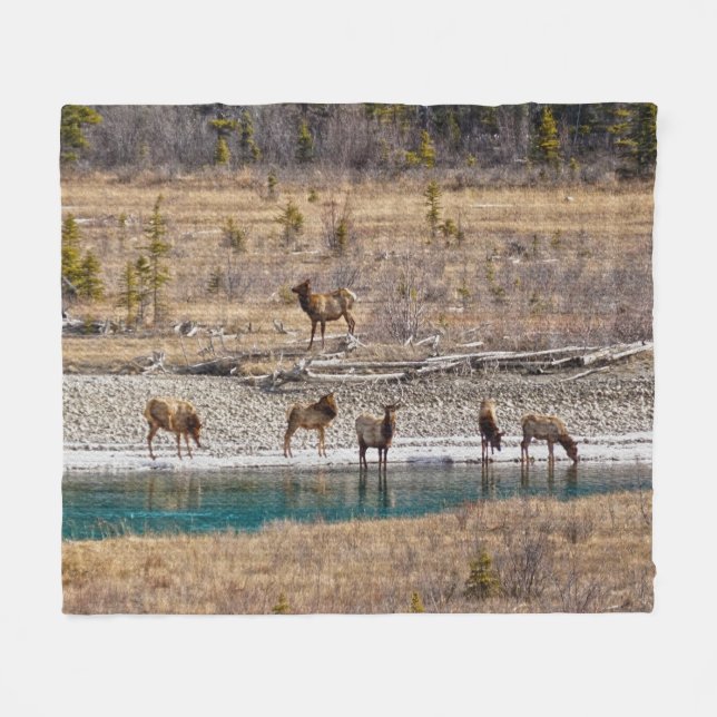 Couverture Polaire Canadian Rockies Wapiti (Elk) (Devant (Horizontal))