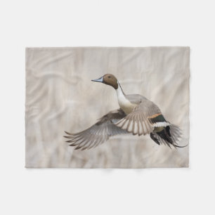 Couverture Polaire Canard colvert mâle prenant son envol