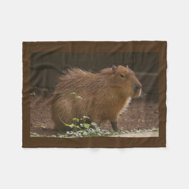 Couverture Polaire Capybara (Devant (Horizontal))