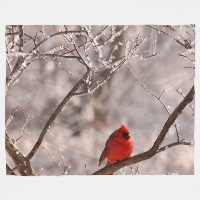 COUVERTURE POLAIRE CARDINAL (Devant (Horizontal))