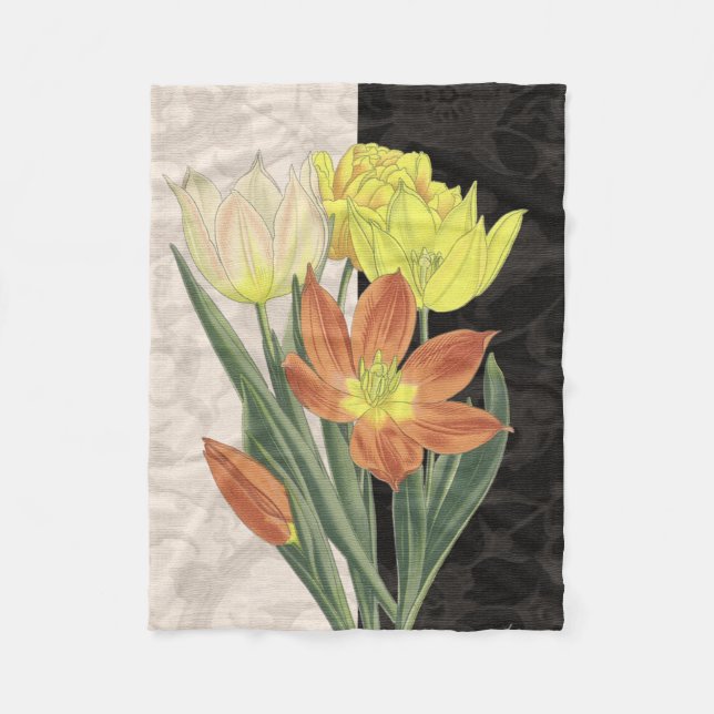 Couverture Polaire Centre II (Devant)