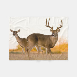 Couverture Polaire Cerf à queue blanche Automne au Texas