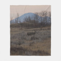 Cerf mulet D12 et collines de Sweet Grass