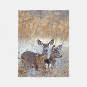 Couverture Polaire Cerfs Mulets Sauvages   Californie