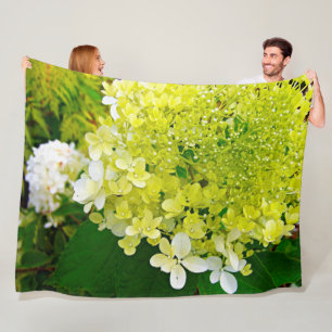 Couverture Polaire Chartreuse Vert, Hydrangea Limelight,