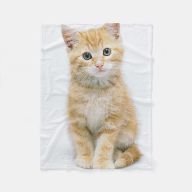 Couverture Polaire Chat tigré d'orange douce (Devant)