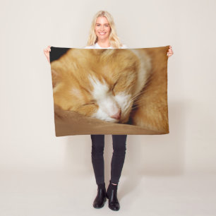 Couverture Polaire Chaton couchant