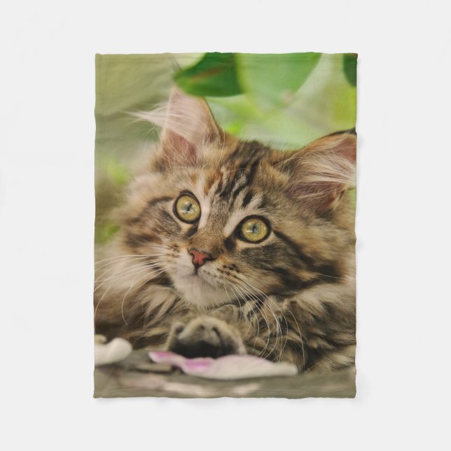 Couverture Polaire Chaton mignon de ragondin du Maine (Devant)