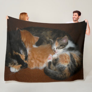 Couverture Polaire Chatons somnolents