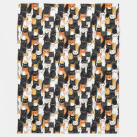 Chats noirs blancs orange