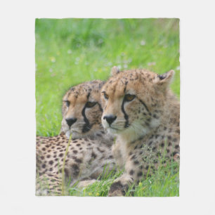 Couverture Polaire Cheetah 001