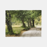 Chemin dans le pays