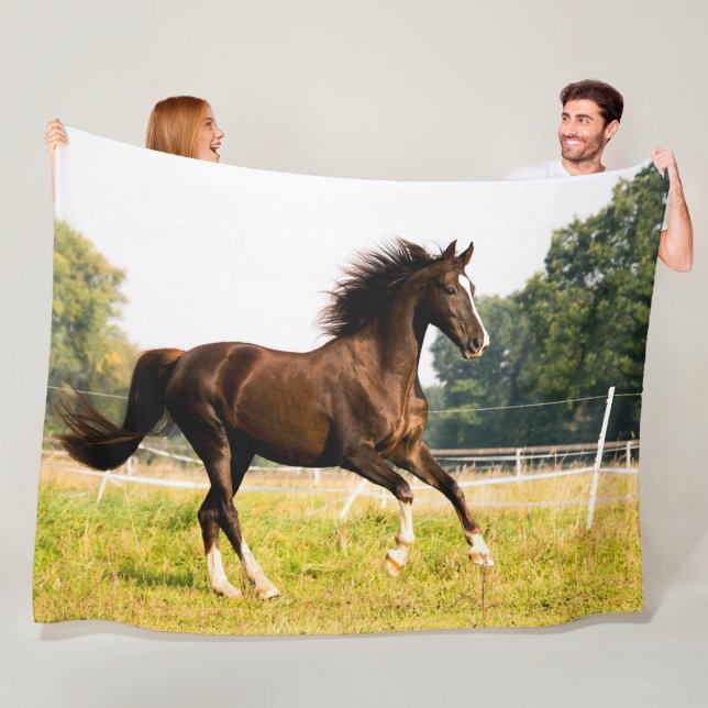 COUVERTURE POLAIRE CHEVAL (En situation)