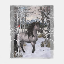 Cheval des Voiles d'hiver 2024