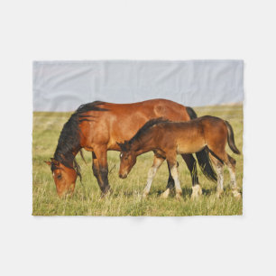 Couverture Polaire Cheval sauvage Mère et Colt pâturage