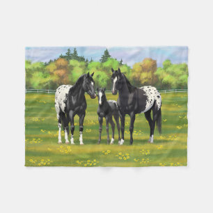 Couverture Polaire Chevaux Appaloosa Noir Dans Les Pâturages D'Été