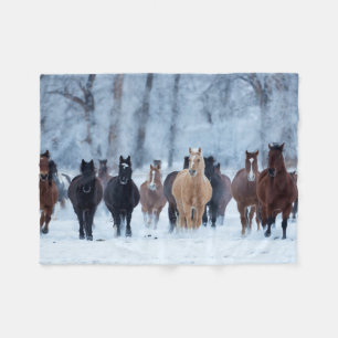 Couverture Polaire Chevaux dans le froid