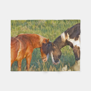 Couverture Polaire Chevaux sauvages au parc national Theodore Rooseve