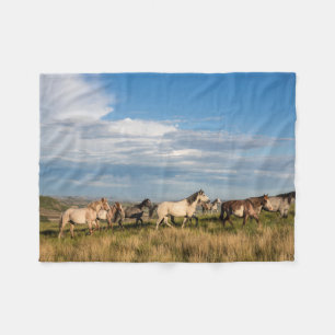 Couverture Polaire Chevaux sauvages dans le parc national Theodore Ro