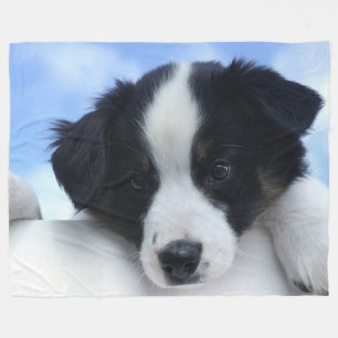 Couverture Polaire Chien de berger australien sur la grande