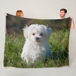 Couverture Polaire Chien de chiot maltais blanc farci