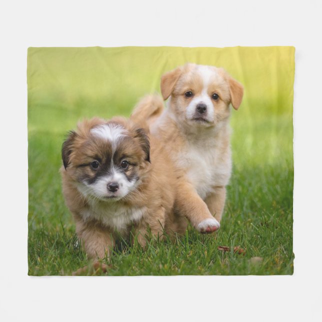 Couverture Polaire Chiens (Devant (Horizontal))