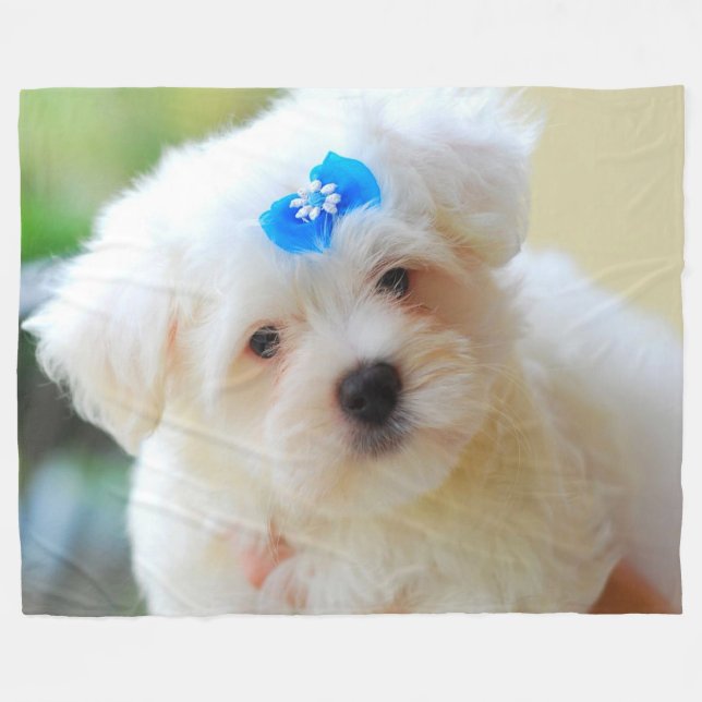 Couverture Polaire Chiot (Devant (Horizontal))