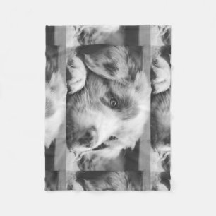 Couverture Polaire chiot berger australien bn