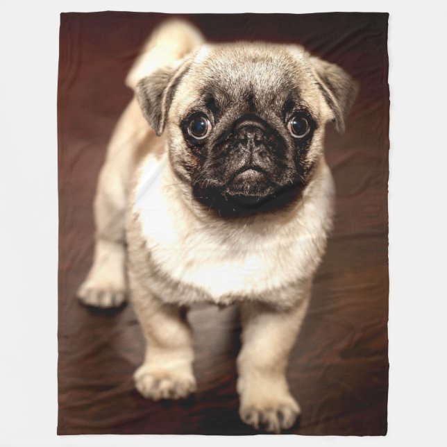 COUVERTURE POLAIRE CHIOT DE CARLIN (Devant)