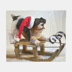 Couverture Polaire Chiot sur un traîneau