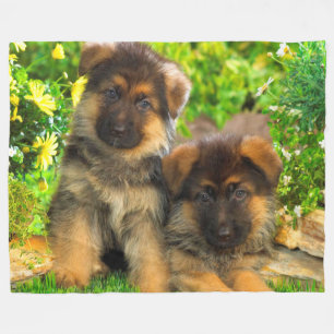 Couverture Polaire Chiots