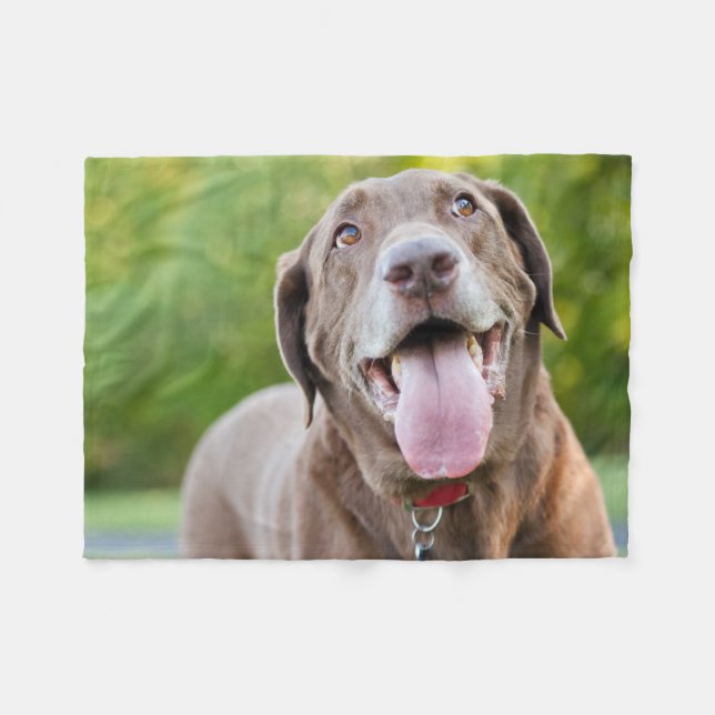 Couverture Polaire Chocolate Labrador Dog (Devant (Horizontal))
