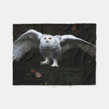 Chouette à neige avec ailes ouvertes fbcnm
