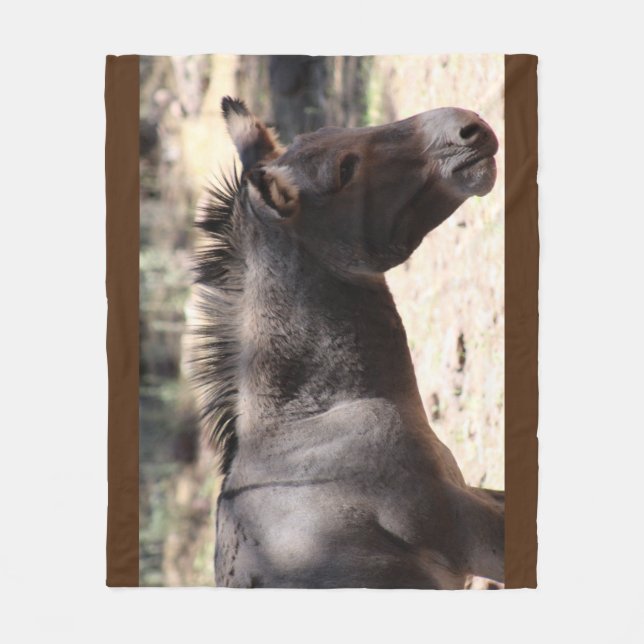 Couverture Polaire Closeup de Mule - Arizona (Devant)