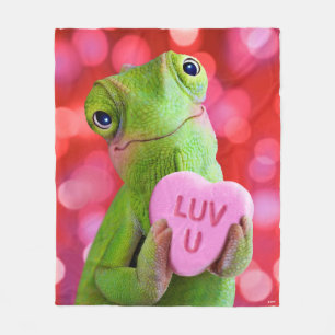 Couverture Polaire Cœur de Caméléon (Amour toi)