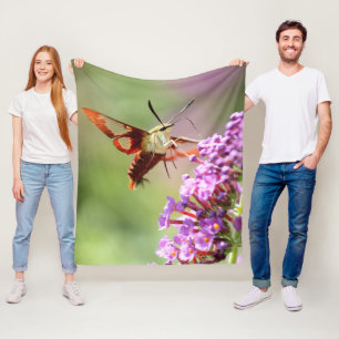 Couverture Polaire Colibri-mouche sur un Buisson de Papillon