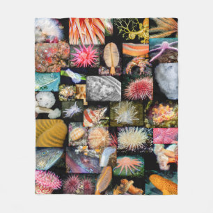 Couverture Polaire Colombie-Britannique Marine Life Protection