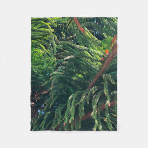 Couverture Polaire conifère à feuillage persistant de pin