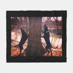 Couverture Polaire Coonhounds noirs et bronzages Treeing sur la