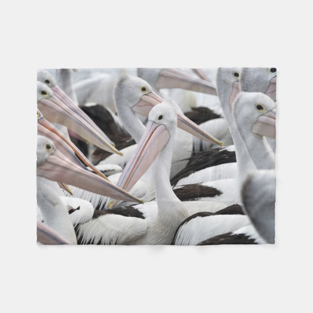Couverture Polaire Cosse des pélicans (Devant (Horizontal))