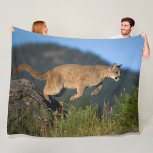 COUVERTURE POLAIRE COUGAR